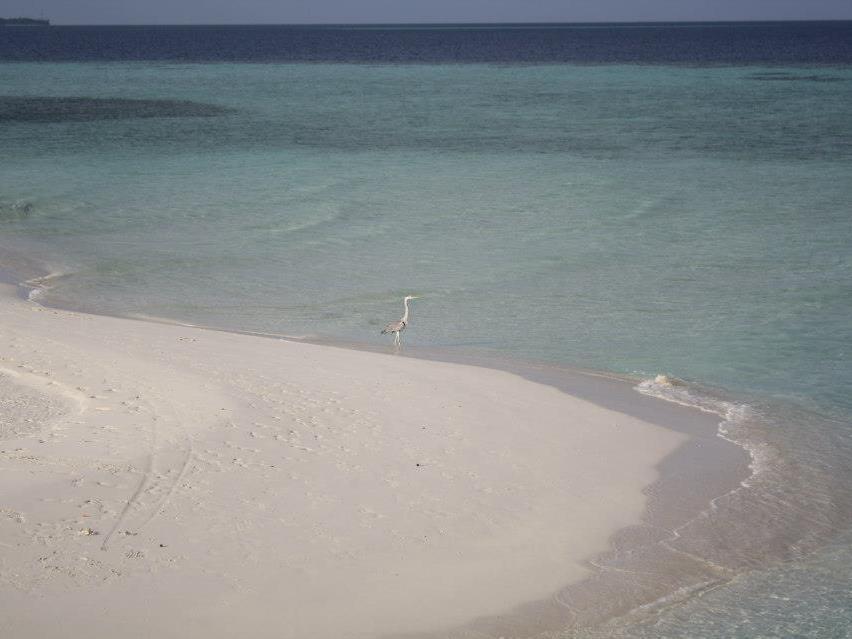Fulidhoo La Perla Guest House Buitenkant foto